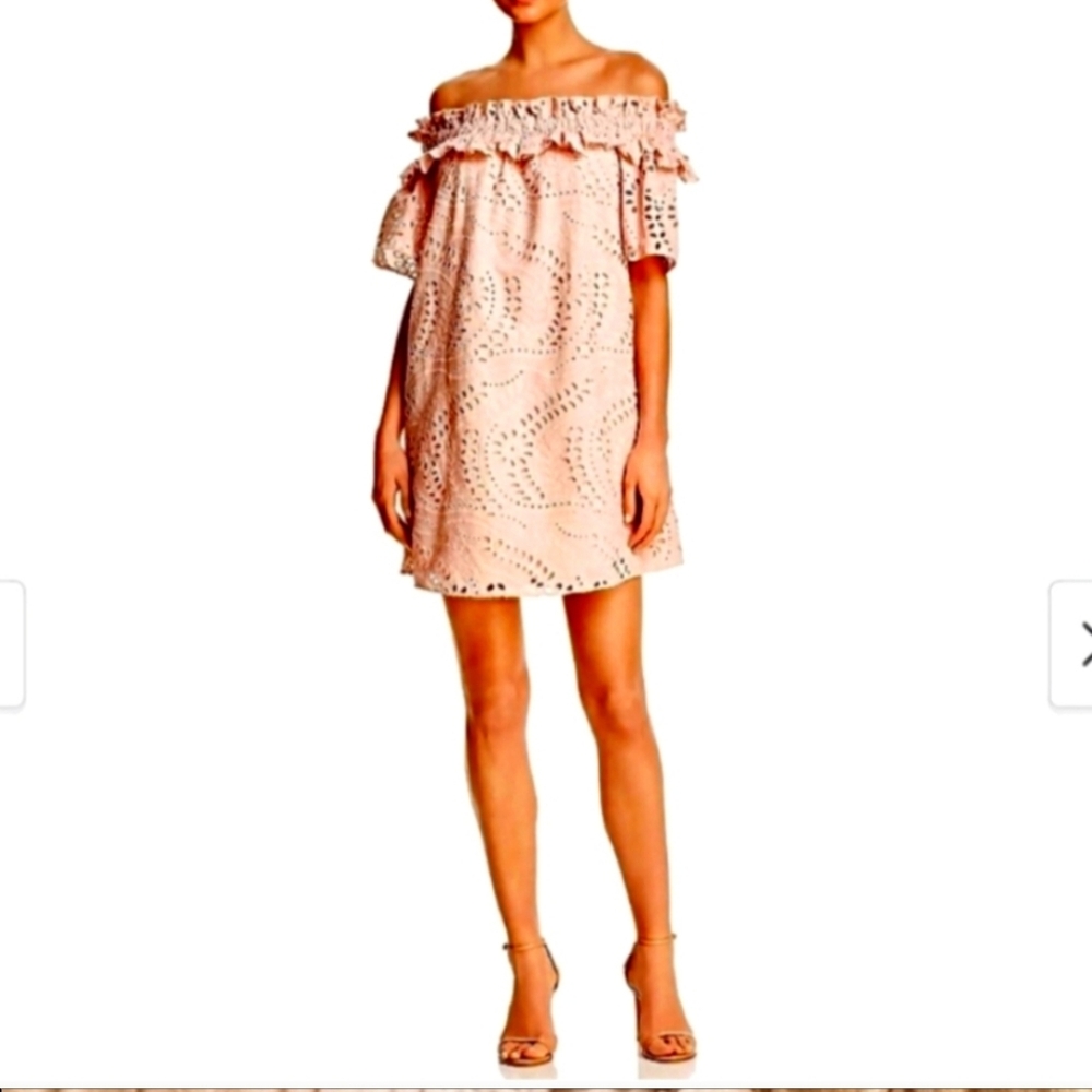 Parker Pink Off-Shoulder Puff Sleeve Mini Dress
